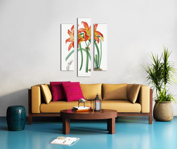 Meadow habranthus from Edwards Botanical Register 1829-1847  by Sydenham Edwards John Lindley and James Ridgway. Canvas print