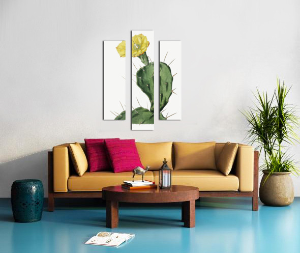 One spined opuntia from Edwards Botanical Register 1829-1847  by Sydenham Edwards John Lindley and James Ridgway. Canvas print