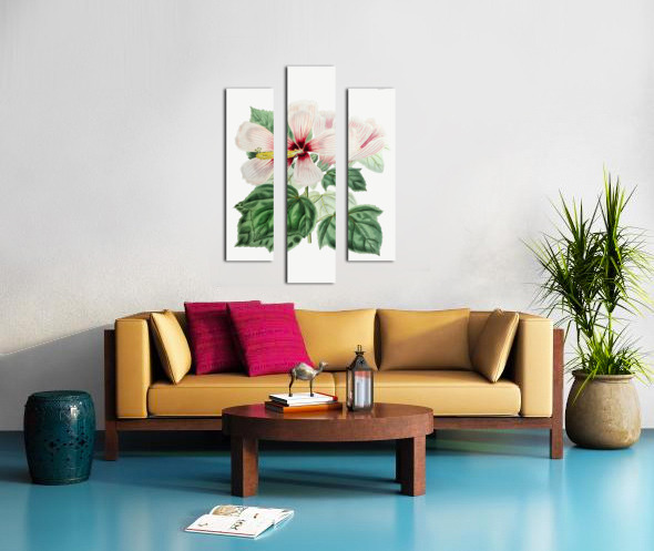 Marsh hibiscus from Edwards Botanical Register 1829-1847  by Sydenham Edwards John Lindley and James Ridgway. Canvas print