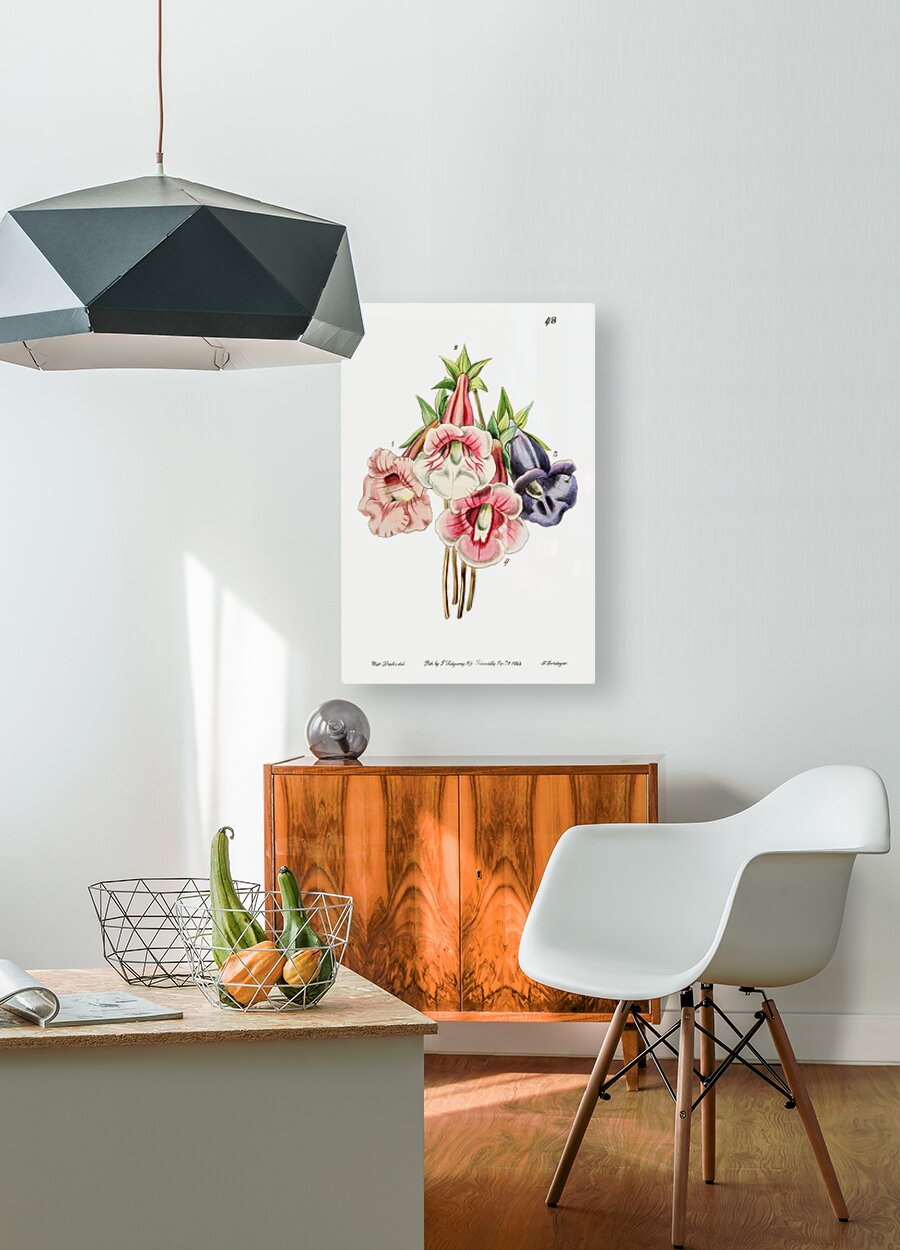 Gloxinia flower varieties from Edwards Botanical Register 1829-1847  by Sydenham Edwards John Lindley and James Ridgway.  HD Metal print with Floating Frame on Back