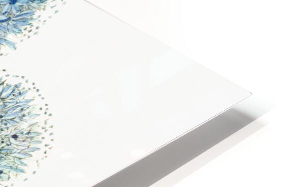 Blue leek from Edwards Botanical Register 1829-1847  by Sydenham Edwards John Lindley and James Ridgway. HD Sublimation Metal print