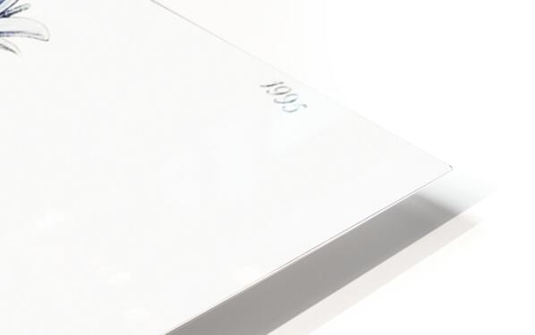 Dalmatian wall campanula flower from Edwards Botanical Register 1829-1847  by Sydenham Edwards John Lindley and James Ridgway. Impression de sublimation métal HD