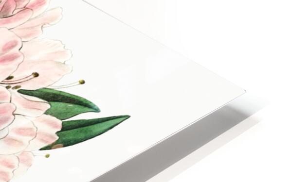 The lovely rhododendron from Edwards Botanical Register 1829-1847  by Sydenham Edwards John Lindley and James Ridgway. HD Sublimation Metal print