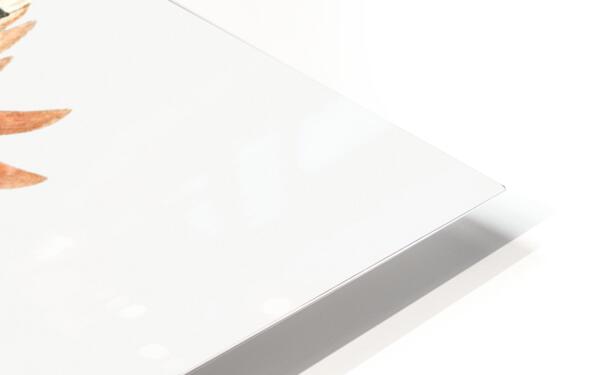 Naked-flowering Erythrina from Edwards Botanical Register 1829-1847  by Sydenham Edwards John Lindley and James Ridgway. HD Sublimation Metal print