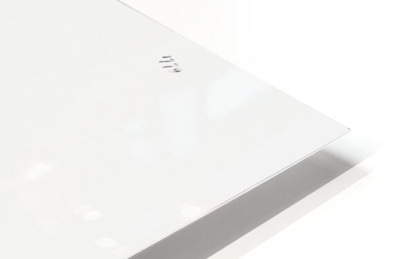 Copper-coloured Dendrobium from Edwards Botanical Register 1829-1847  by Sydenham Edwards John Lindley and James Ridgway. HD Sublimation Metal print