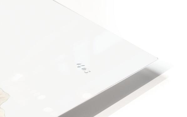 Marsh hibiscus from Edwards Botanical Register 1829-1847  by Sydenham Edwards John Lindley and James Ridgway. HD Sublimation Metal print