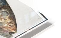 Shad in vintage style HD Metal print