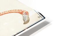 Flamingo in vintage style HD Metal print