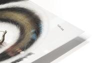 Hare Squirrel Sciurus leporinus  HD Metal print
