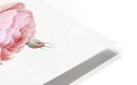 Pink boursault rose Impression metal HD