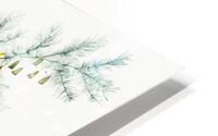 Asparagus fern illustration  HD Metal print