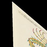 Colourful and surreal illustrations of fishes and  found in the Indian and Pacific Oceans by Louis Renard 1678 -1746 from Histoire naturelle des plus rares curiositez de la mer des Indes 1754. HD Metal print