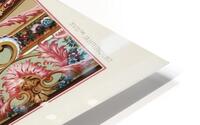 18th Century pattern. 1888 edition Lornement Polychrome by Albert Racine 1825–1893. HD Metal print