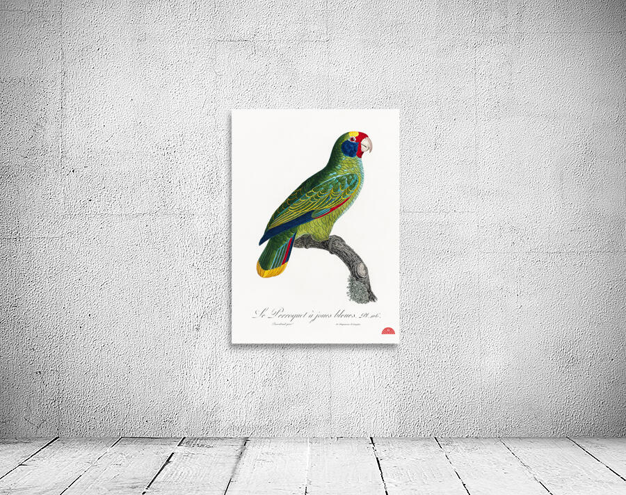 Red-and-blue amazon  Wall Preview