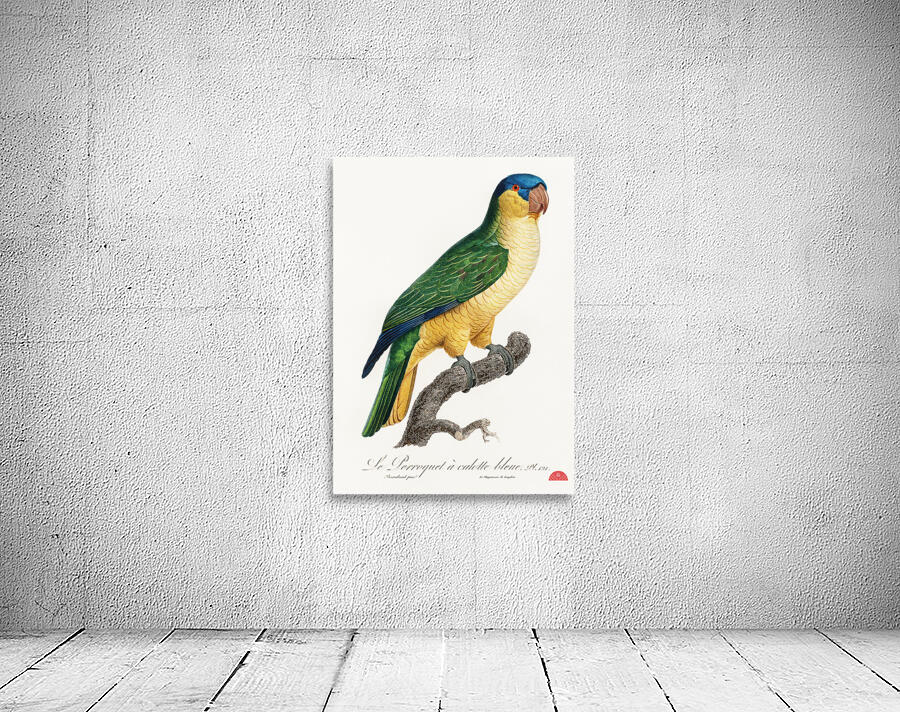 Buru green parrot  Wall Preview