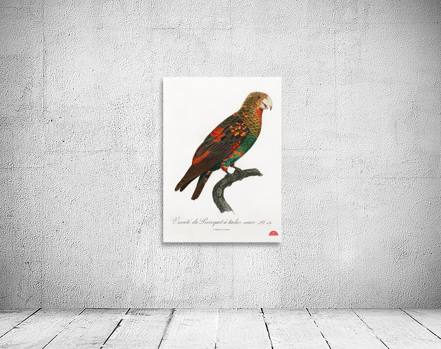 Brown-necked parrot  Wall Preview