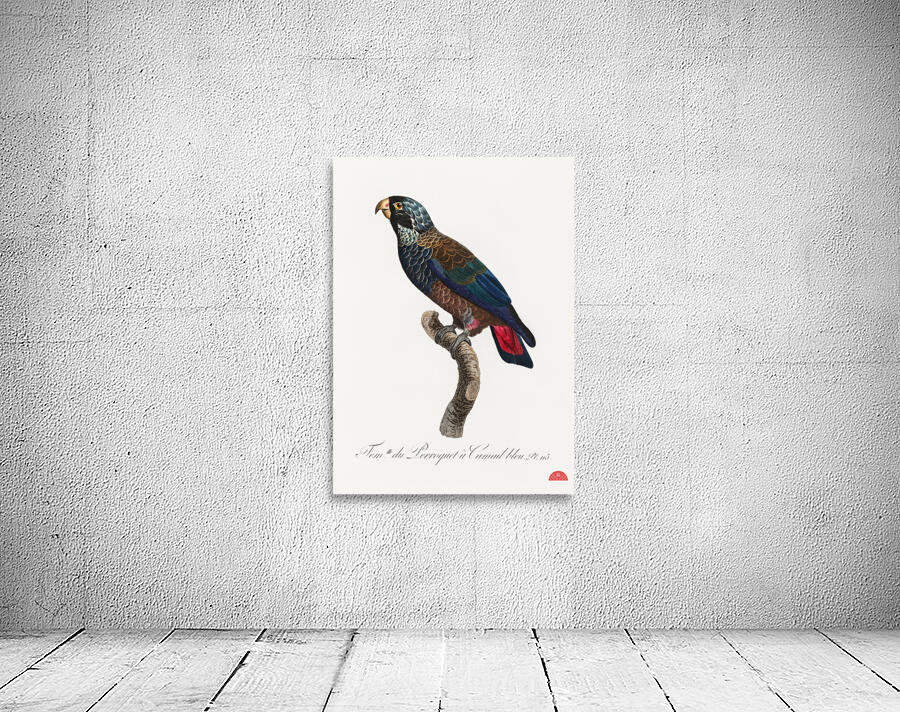 Bronze-winged parrot  Wall Preview