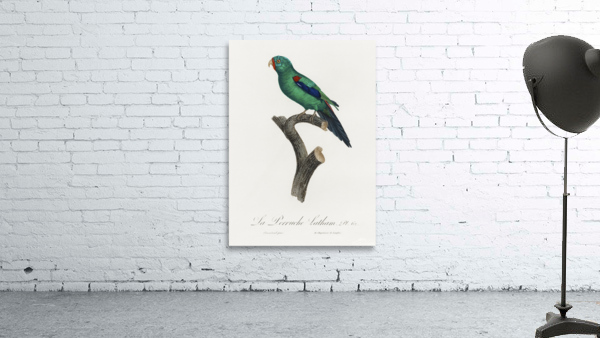 Swift parrot  Wall Preview