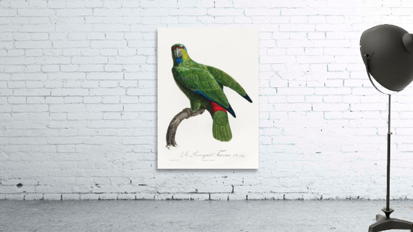 Festive parrot  Wall Preview