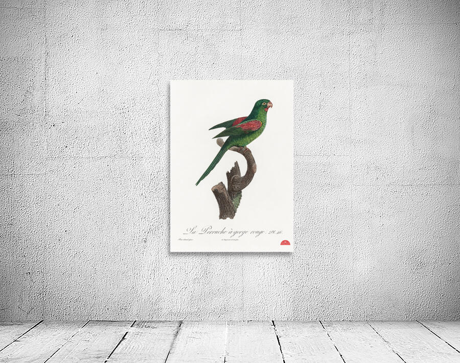 Red-throated conure  Wall Preview