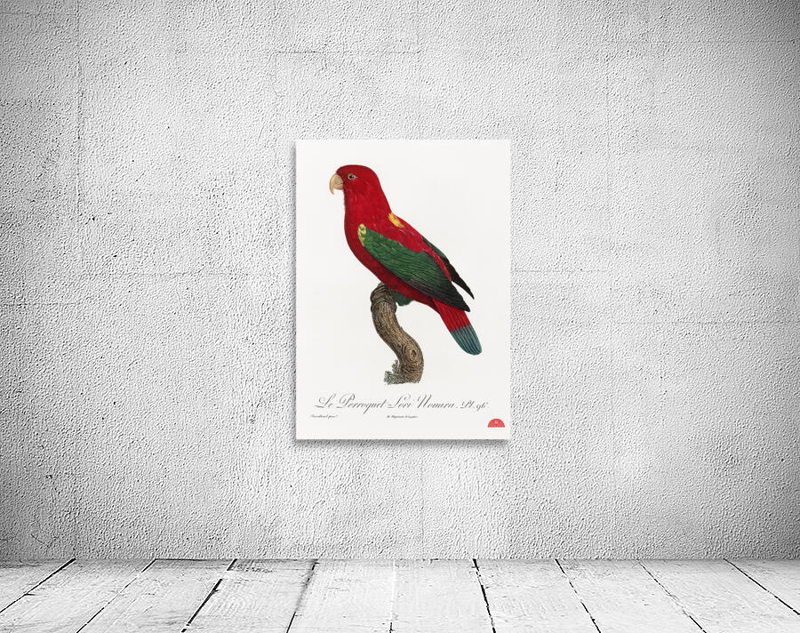 Chattering lory  Wall Preview