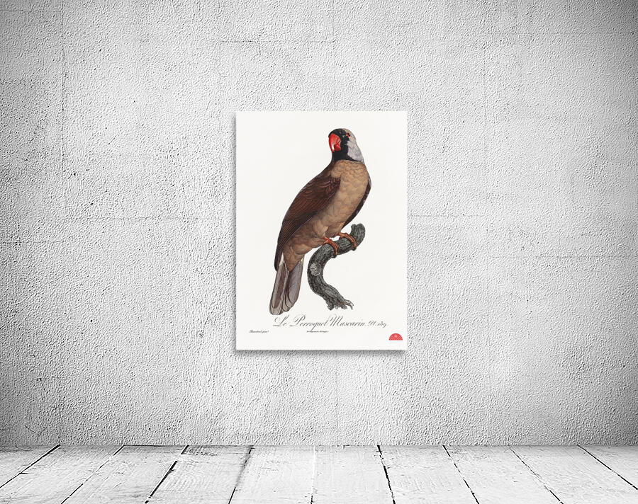 Mascarine parrot  Wall Preview