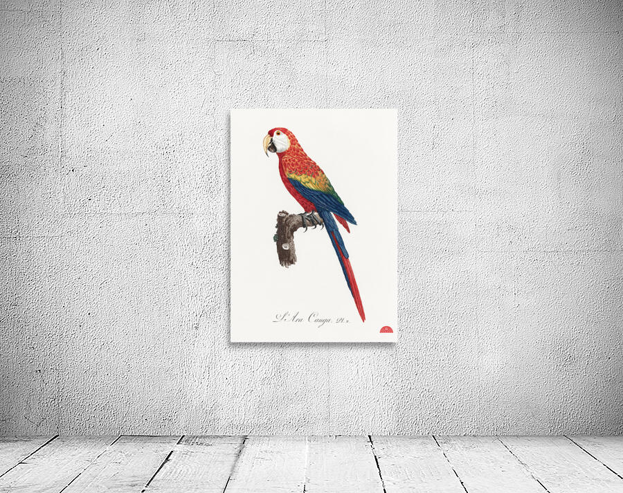 Ara macao  Wall Preview