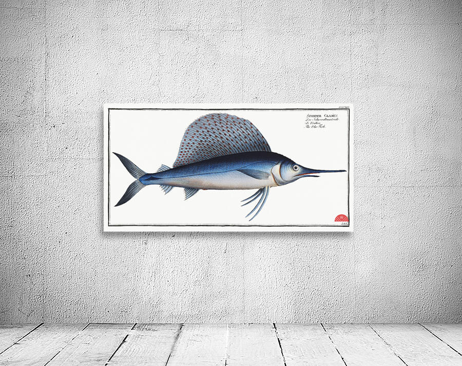 Ola-Fish Scomber Gladius Wall Preview