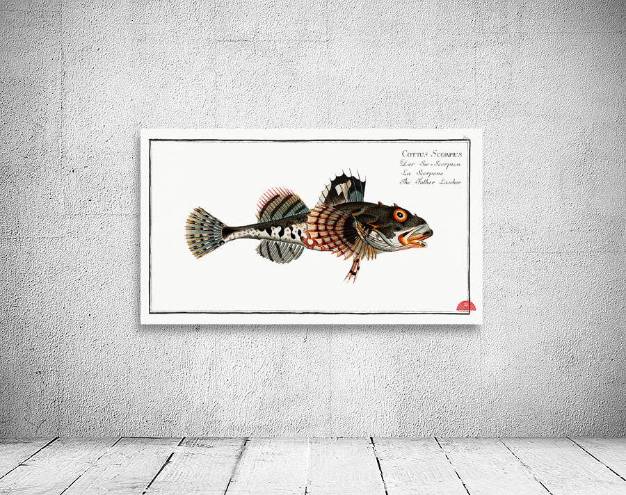 Father Lascher Cottus Scorpius Wall Preview