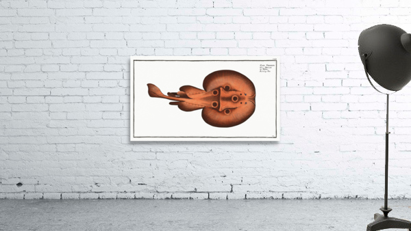 Cramp-Fish Raja Torpedo Wall Preview