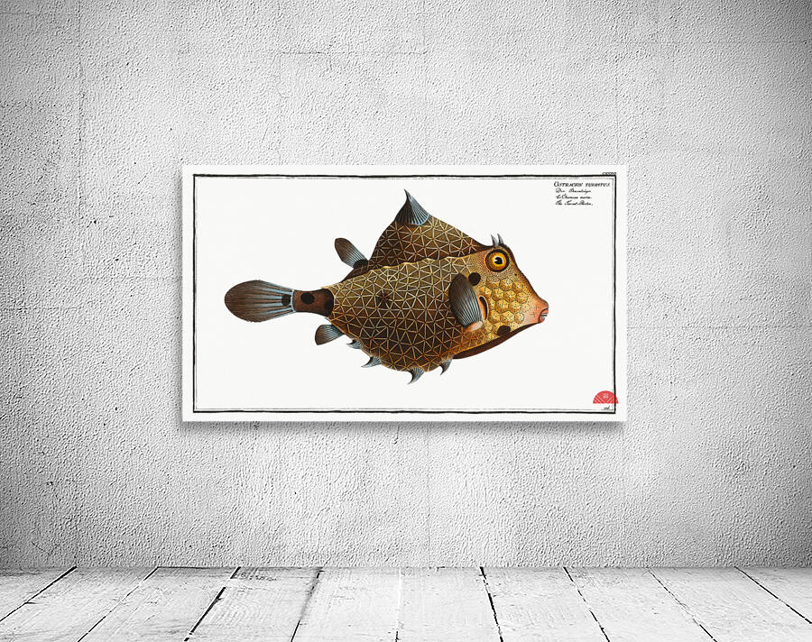 Turret-Porter Ostracion Turritus Wall Preview