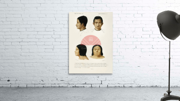 Human race Wall Preview