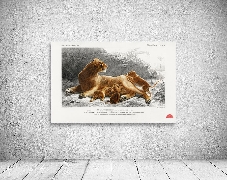 Fails Leo Wall Preview