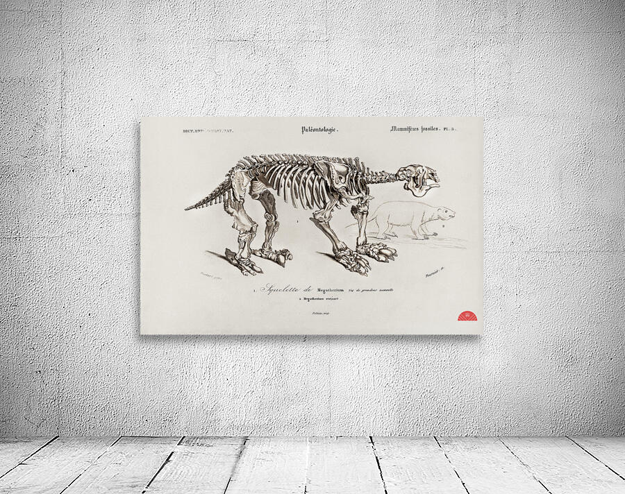 Megatherium Wall Preview