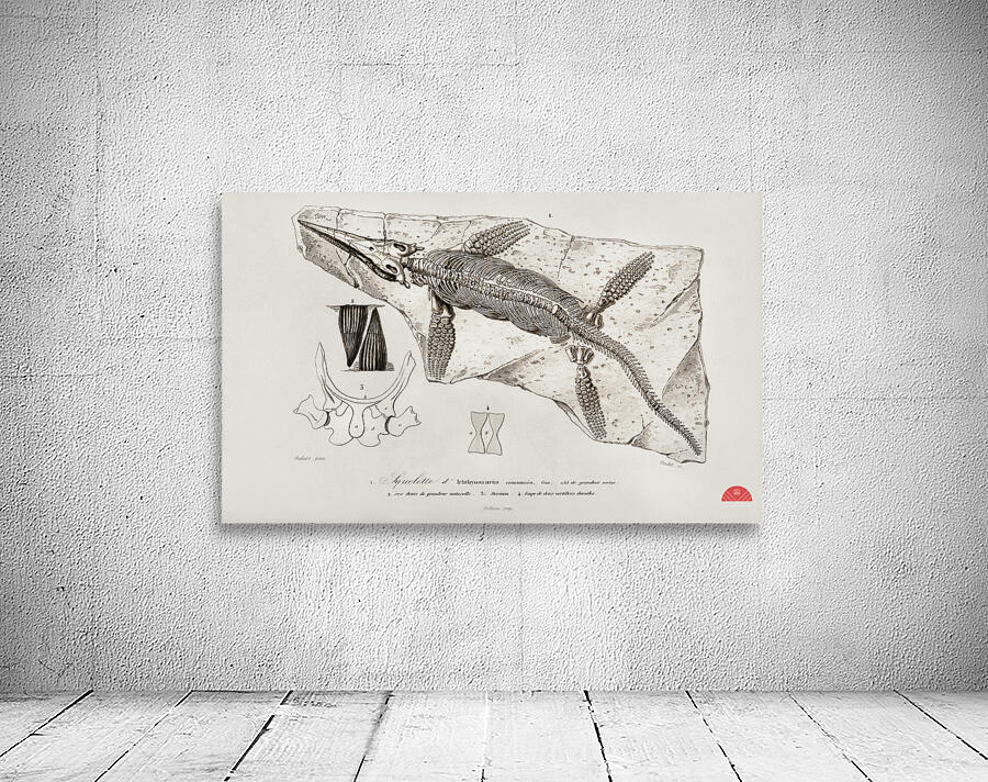 Chthyosaurus Wall Preview