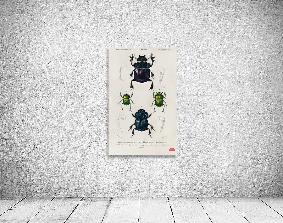 Different types of insects Wall Preview