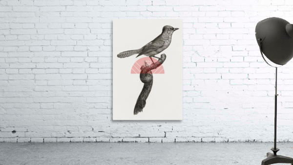 Blue-green jay Wall Preview