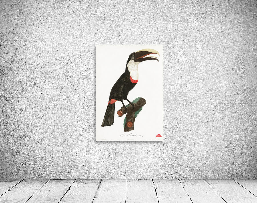 Toco toucan  Wall Preview