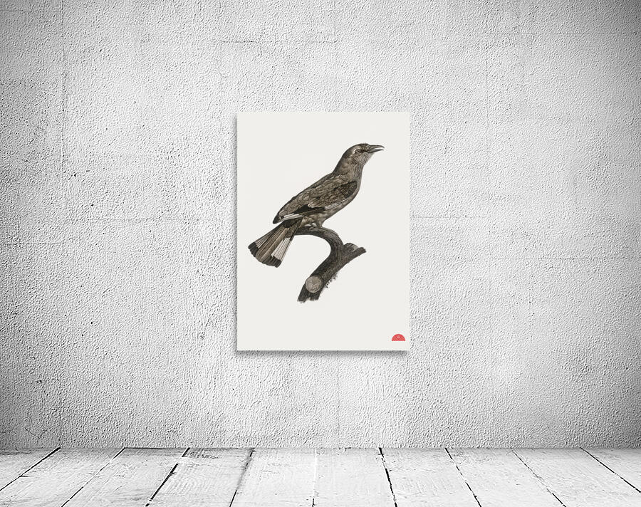 Varied roller of Africa  Wall Preview