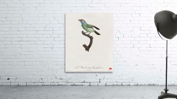 Blue-throated Bearded bee-eater Wall Preview