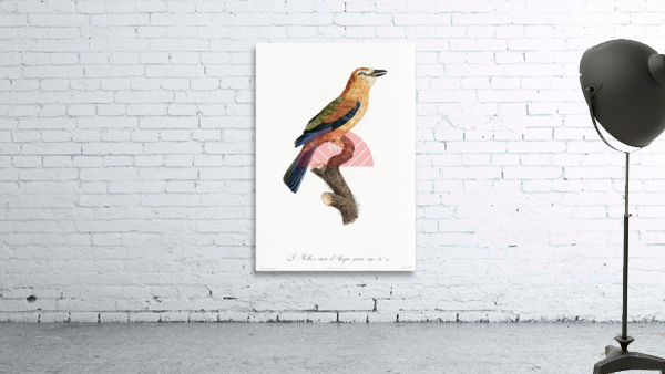 Young African roller  Wall Preview