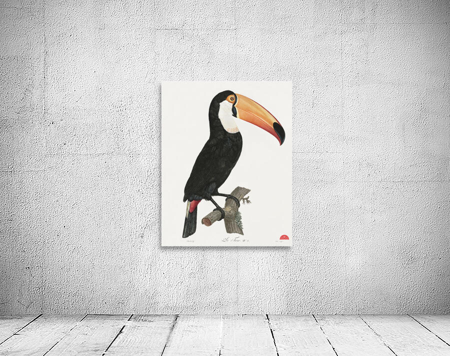 Toco toucan Wall Preview