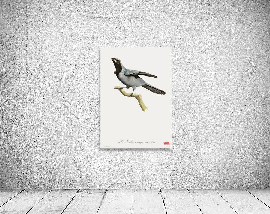 Pterosaur Pterodactylus Wall Preview