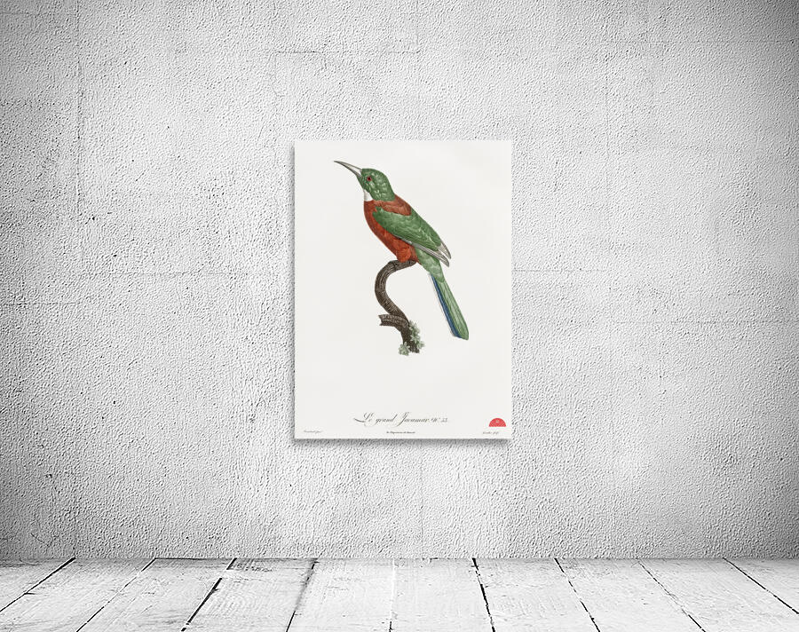 Great Jacamar Wall Preview