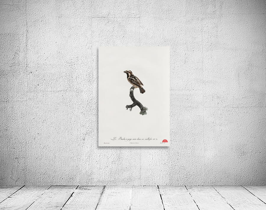 Old braeded tachuri  Wall Preview