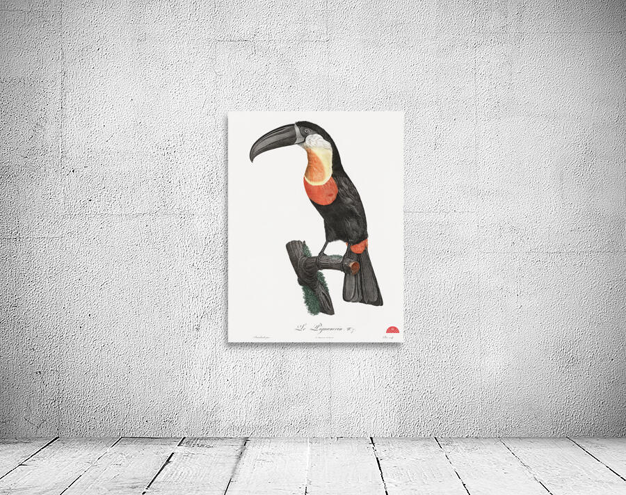 Green-billed toucan  Wall Preview