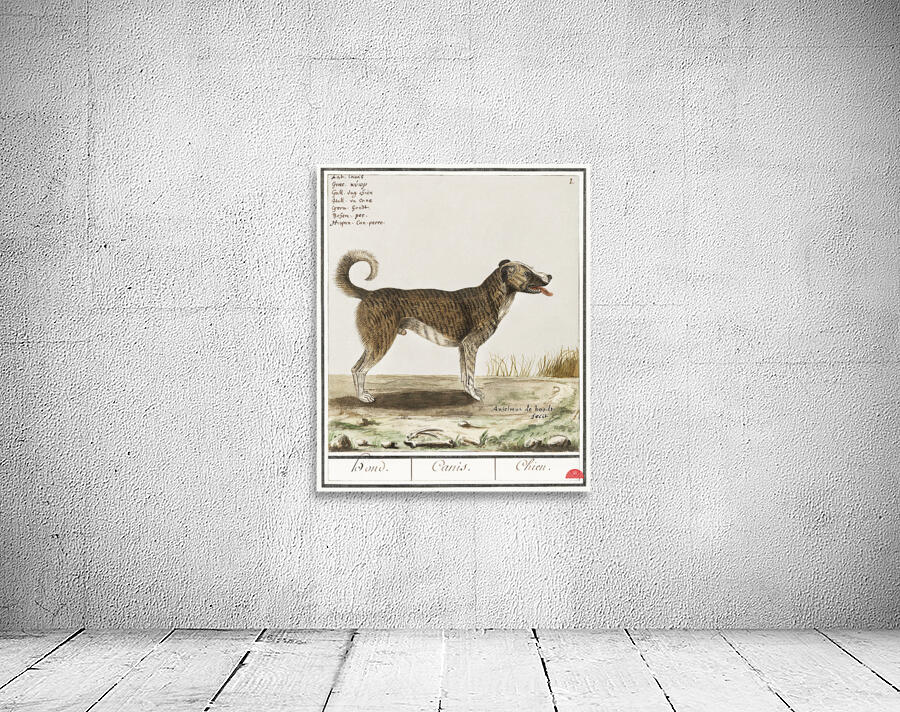Dog in vintage style Wall Preview