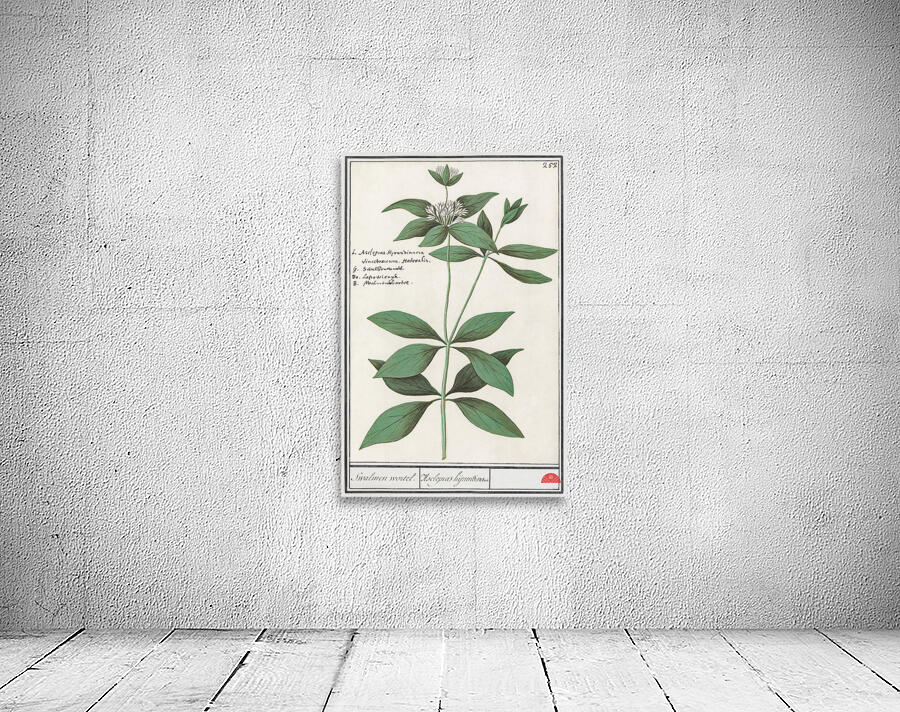Silk plant in vintage style Wall Preview
