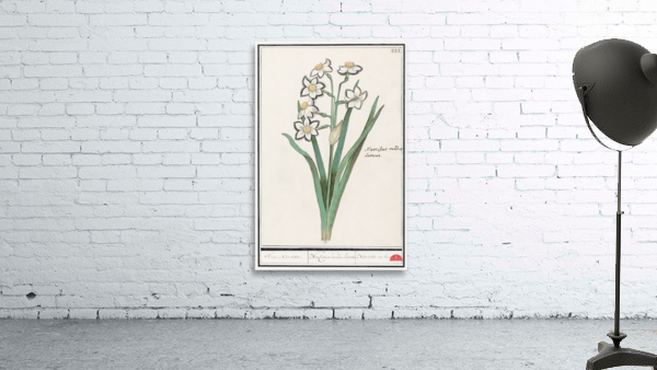 Iris in vintage style Wall Preview