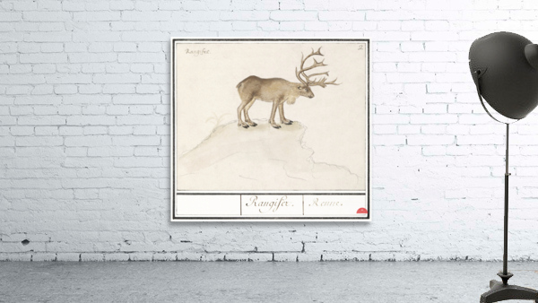 Reindeer in vintage style Wall Preview